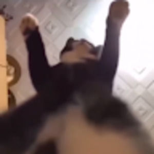 Meet your Posher, Marc